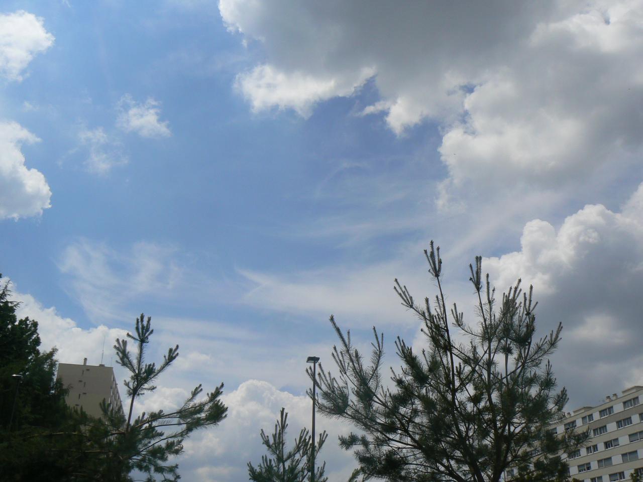 P1150157